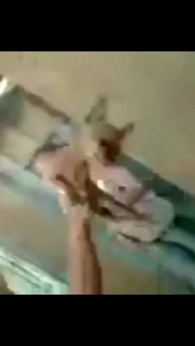 '-'