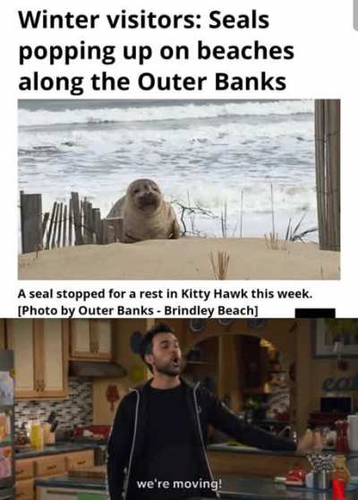 Ima go to the seals.