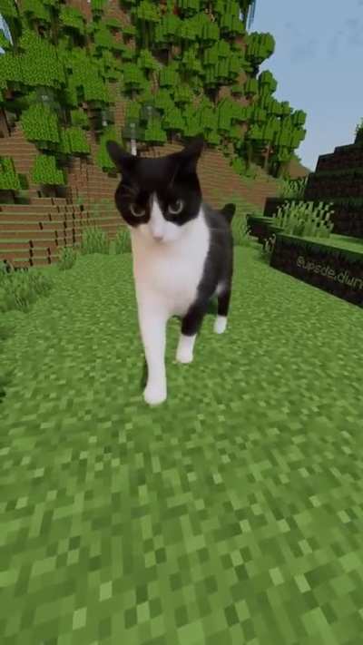 You Died
