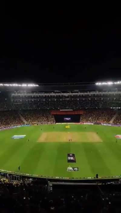 The Dhoni Euphoria!