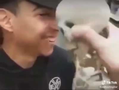 Wait for it