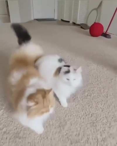You..then me..then you ?