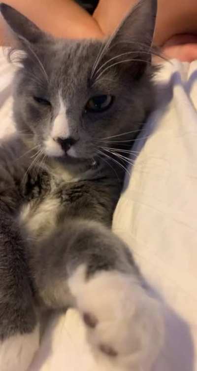 AAH