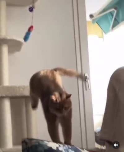 I almost made it!