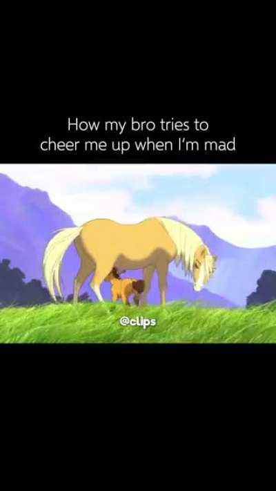 Camed horse