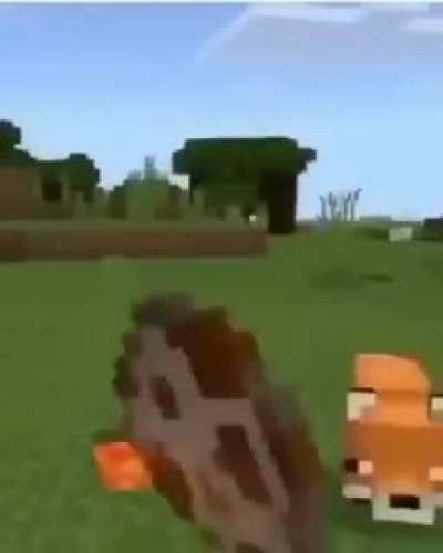 Guys look its Beint