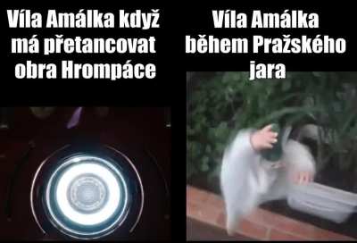 amalka