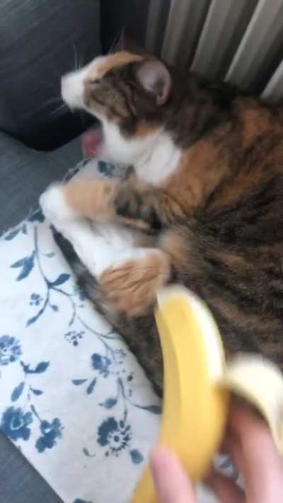 Banana?