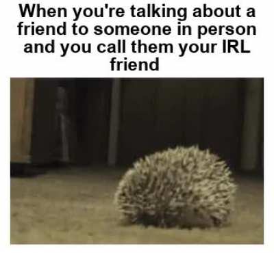 I think that usually goes without saying