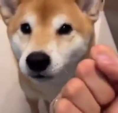 Knuckle sandwich