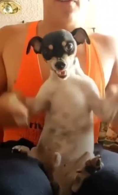 Grrrr
