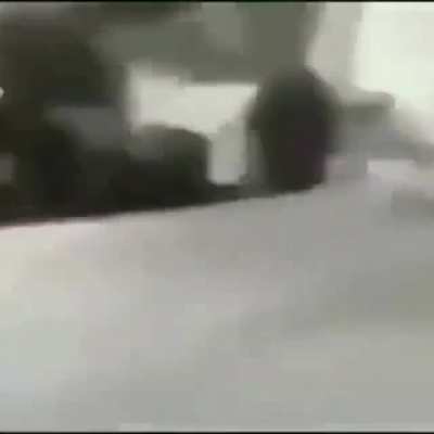 Adm até se assusta com tanto conteúdo bom