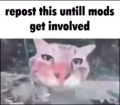 Reposting for huzz
