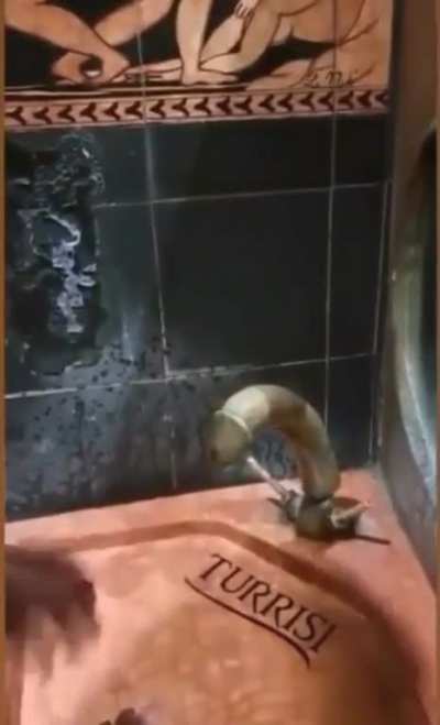 Wash your hands