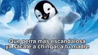 Hablen carajo