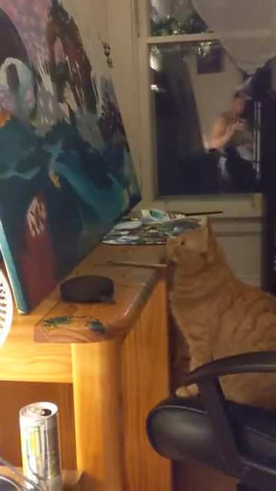 Cat took to much