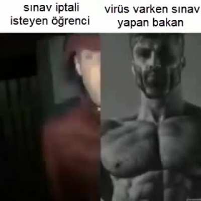 Şaka maka sınava virüs yüzünden gelmeyenlere ne olacak aşırı merak ediyorum.