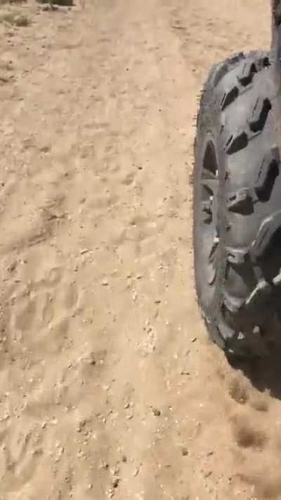 RZR
