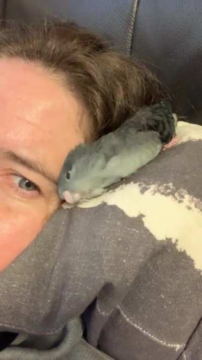 Day 3 with the new baby. I think things are going well.