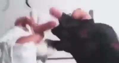 Martial artist gets obliterated by his master
