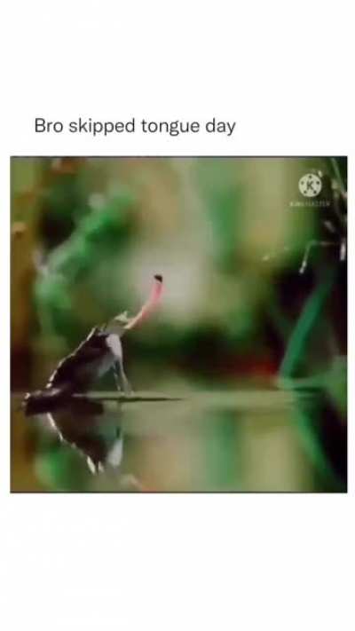 i guess he tried…
