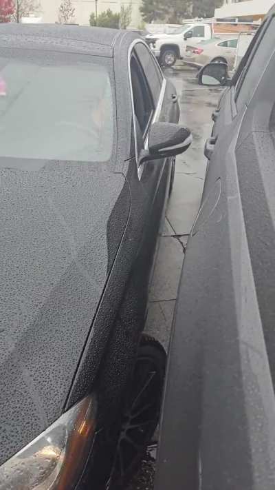 Lady hits truck and get herself arrested 