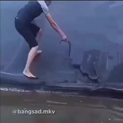 F