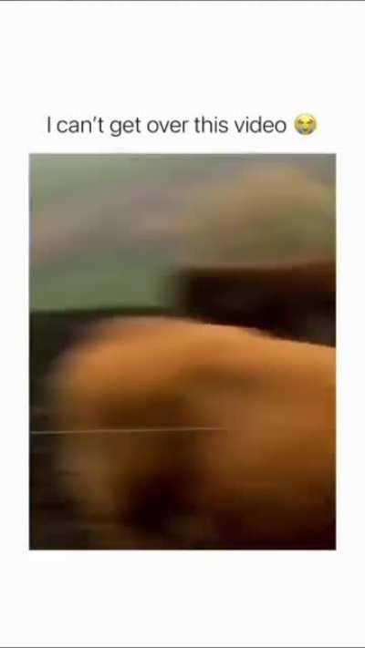 Me_irl