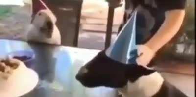 banda oficialmente cumplo dos años en este mugrero de aplicación les go