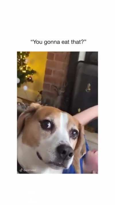 The cute but intense lick at the end