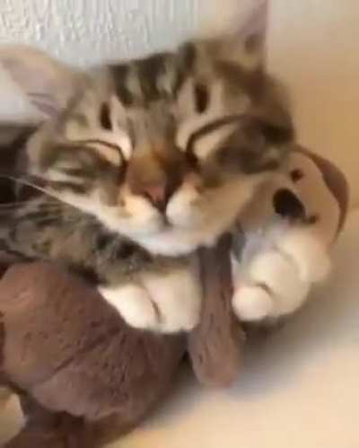 Sleepy hugs
