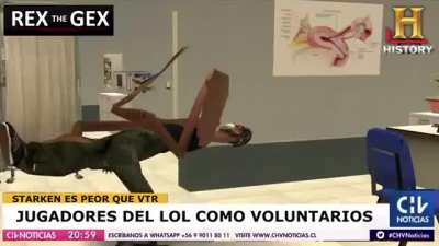 Momento chile