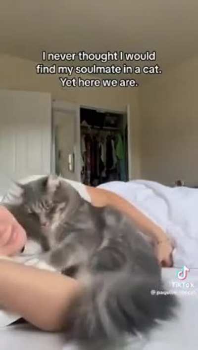 How do I text this to my cat?