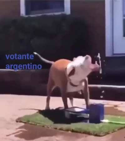 La maquinita
