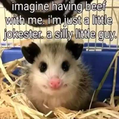 cewfefefef