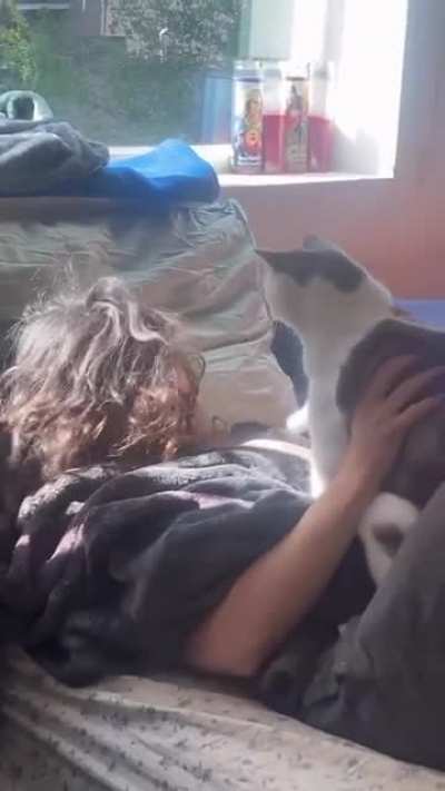 AssAulT and CatTeRY