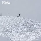 Snow Art