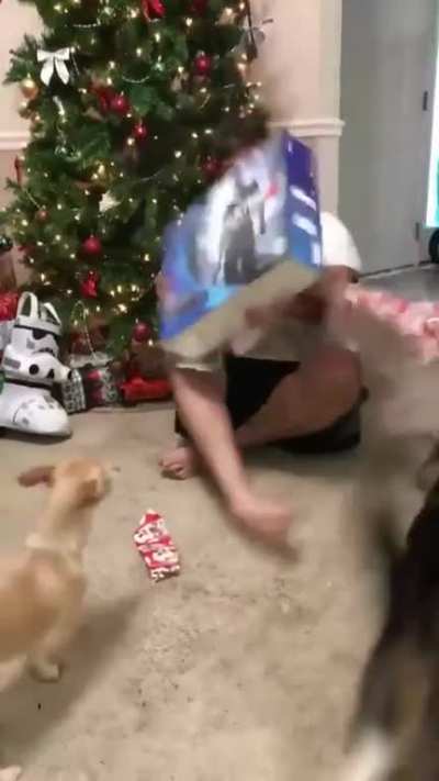 PlayStation​? Playstation!! Wait WHAT STOP (Crosspost - r/gifs, Cred: u/BeatriceStewart )