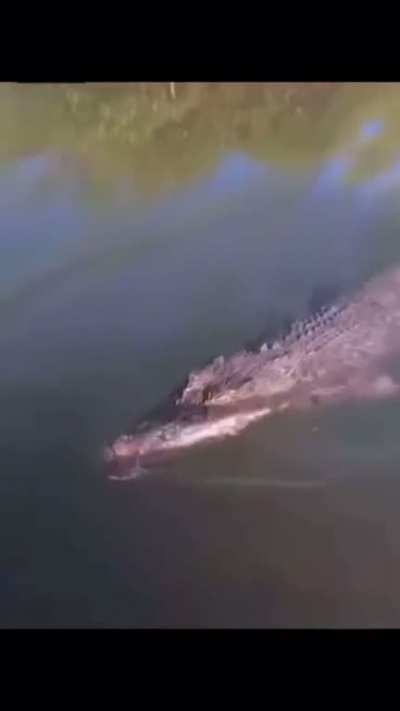 Fisherman changes his mind about fishing