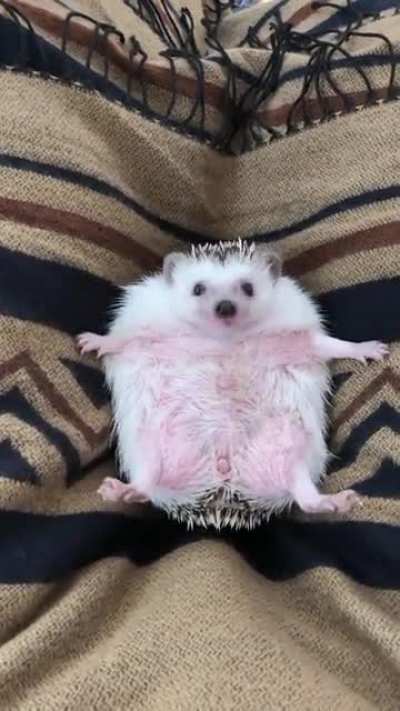 Snack Saturday Got Me Like...