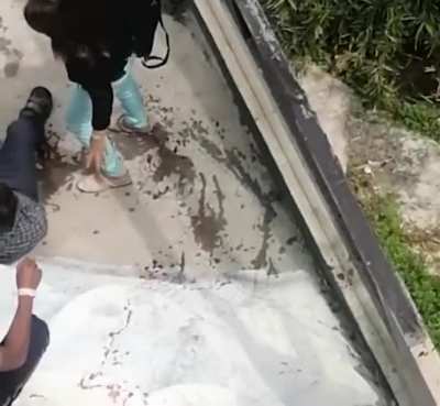 Tourist is attacked by crocodile after ‘mistaking it for a plastic model and posing for selfie’