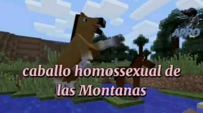 Caballo homossexual de las Montanas