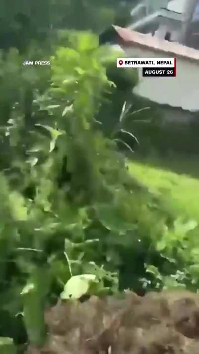 Woman holding two children narrowly escapes Nepal flood