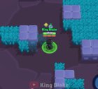 A Wild Shelly Appeared!