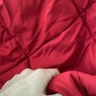 Pand-