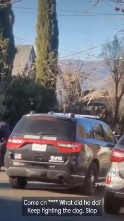 A bystander filmed this violent incident between a male suspect and the Redding Police Department. They still don’t even have body cameras.