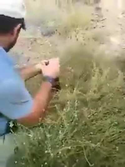 Not a bad way to catch a snake though