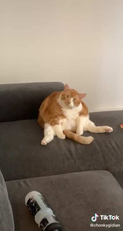 Thicccc