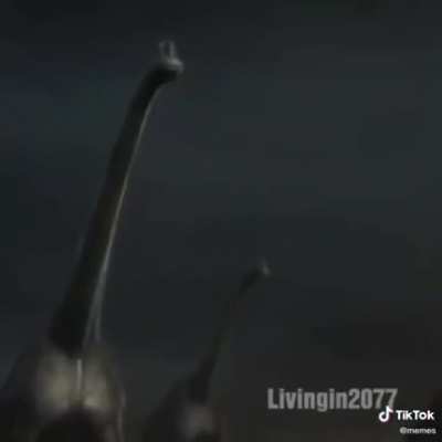 The extinction of the dinosaurs