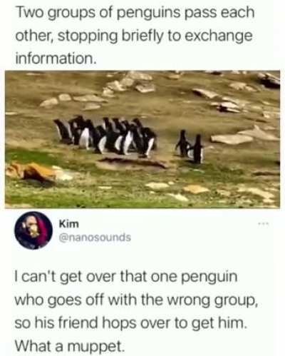 Get it together private